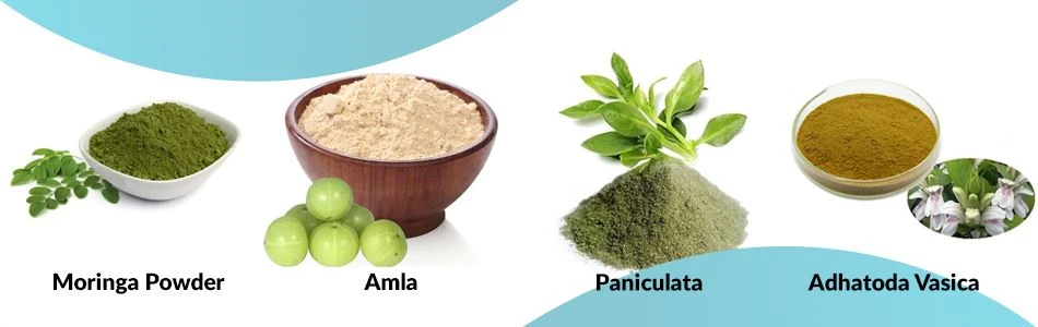 plant extract powder