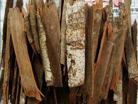 catuaba bark