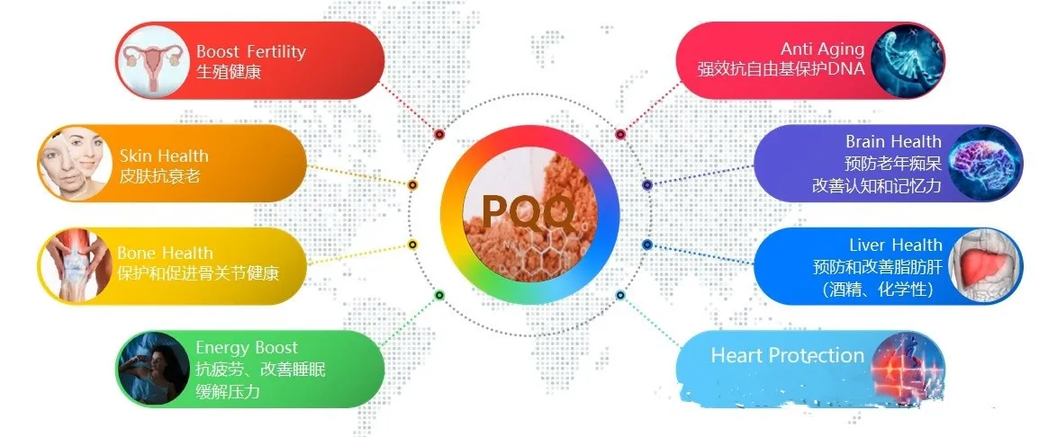 pqq powder pyrroloquinoline quinone pqq powder pyrroloquinoline quinone