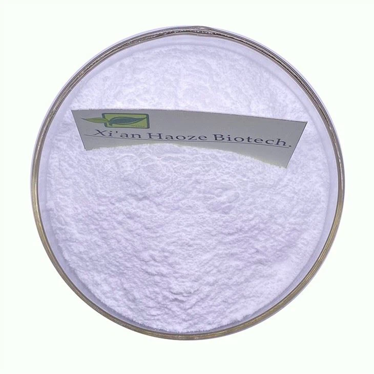 Cholestyramine Powder Bulk