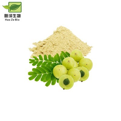 Ekstrakt voća Emblica Officinalis