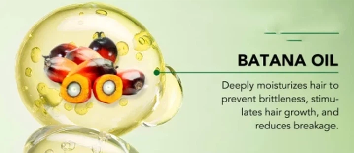 batana oil batana oil